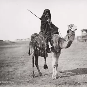 Traveller, Bedouin man on camel, Egypt