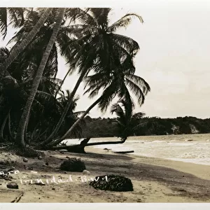 Trinidad and Tobago, West Indies - Mayaro Beach