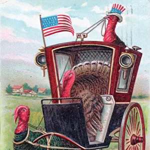 Three turkeys on a Thanksgiving postcard