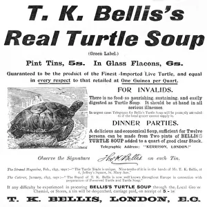 Turtle Soup Advertisement