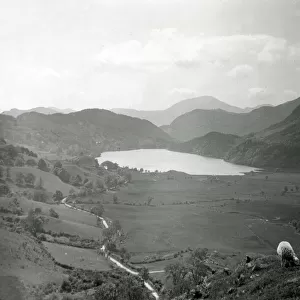 Valley with lake and sheep, Snowdonia National Park