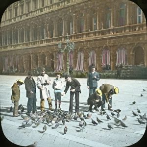 Venice, Italy - Feeding Pigeons