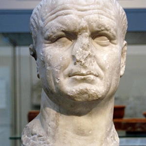 Vespasian (9-79). Roman Emperor. Bust. Marble. 1st century