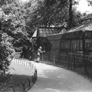 View of the Aviary in the Arboretum, Derby Print circa 1910 View of the Aviary in the Arboretum, Derby Print circa 1910