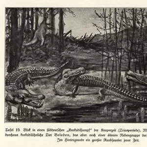 View of a crocodile swamp, south Germany, Triassic period