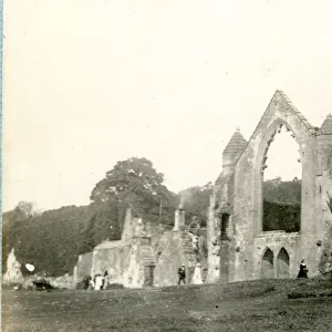 View of Haughmond Abbey ruins, near Shrewsbury
