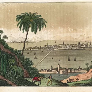 View of Mexico City, circa 1820