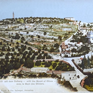 View of the Mount of Olives, Jerusalem, Israel