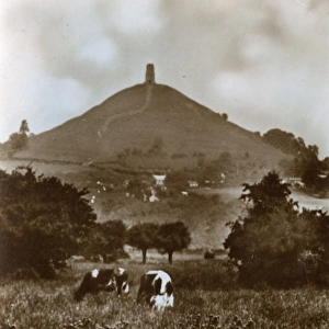 View of Tor Hill, Glastonbury, Somerset