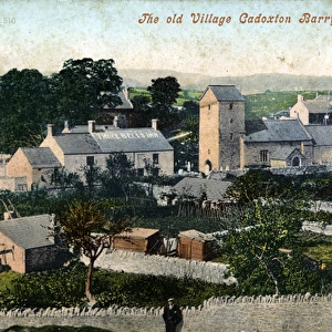 The Village, Cadoxton, Glamorgan