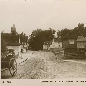 Essex Collection: Chipping Hill