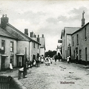 The Village, Halberton, Devon