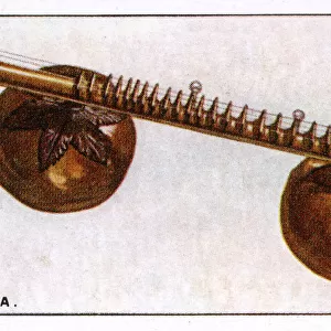 Vina - Indian Instrument