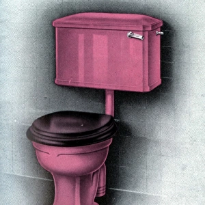 Vitromant Coloured Water Closet (toilet)