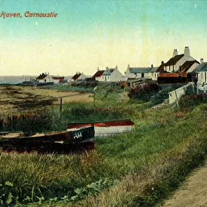 Angus Collection: Carnoustie