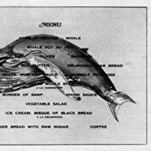 Whale meat menu and recipe card: 1918