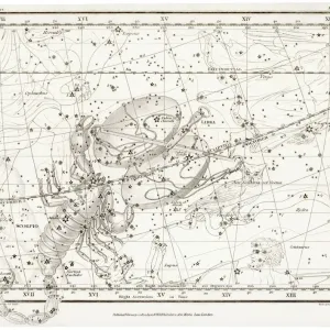 Scorpius / Sagittario / Bilancia Scorpius / Sagittario / Bilancia