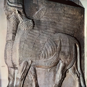 Winged Assyrian Bull