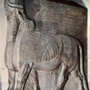 Winged Assyrian Bull Print, circa 725 BC Winged Assyrian Bull Print, circa 725 BC