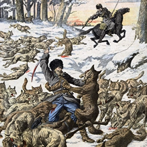 Wolves attack Russian soldiers during war with Japan