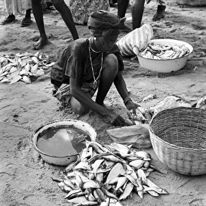 Woman with fresh fish in sand, Sierra Leone