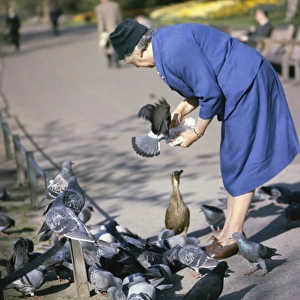 Woman in a park with pigeons