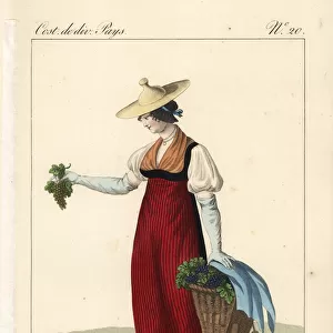 Woman picking grapes, Vaud, Switzerland, 19th century