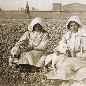 Two women on beach with bull terriers