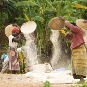 Women sieving cereals in Sumbawanga