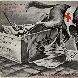 WW1 - Patriotic Red Cross Dog cocks his leg on German Flag
