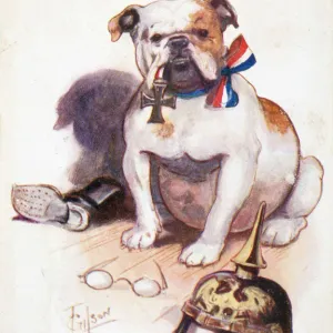 WW1 POSTCARD BULLDOG