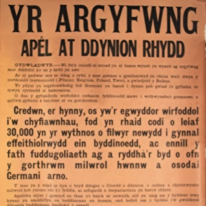 WW1 recruitment poster, The Crisis (Welsh version)