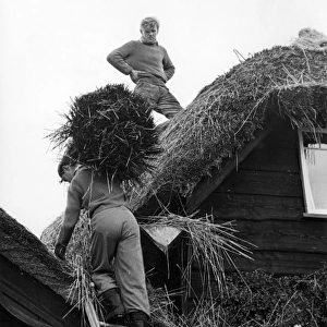 Two young men thatching a cottage