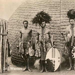 Four Zulu Warriors in traditional costume