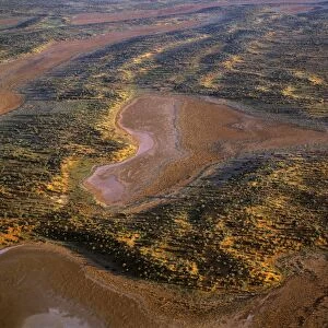 Aerial - Playas / claypans and low dunes the most vegetated and largest sand dune desert in Australia. Maralinga-Tjarutja Aboriginal lands - Near Lake Meramangye, Great Victoria Desert, South Australia JPF47860
