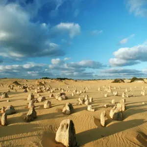 L'Australie - Les Pinnacles, Calcaire. Parc national de Nambung, Australie-Occidentale. L'Australie - Les Pinnacles, Calcaire. Parc national de Nambung, Australie-Occidentale.