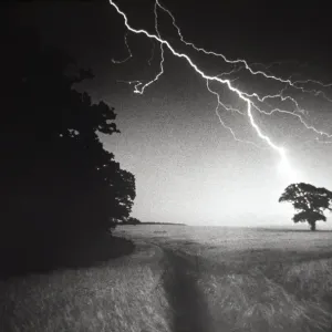 Lightning Striking a Tree Print Lightning Striking a Tree Print