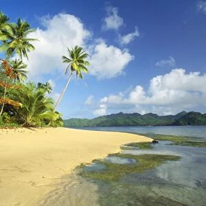 Fiji Matangi Island