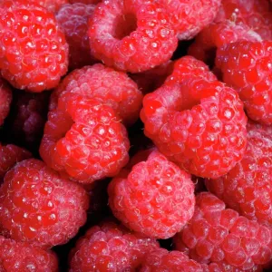 Raspberry Print (Rubus idaeus) by Pascal Goetgheluck Raspberry Print (Rubus idaeus) by Pascal Goetgheluck