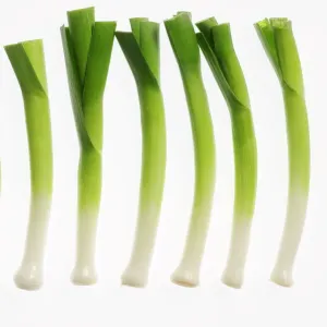 Scallion Leeks Print Scallion Leeks Print