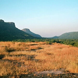 India Bandhavgarh National Park Madhya Pradesh