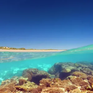 Ningaloo Marine Park Coral Reef Print Ningaloo Marine Park Coral Reef Print