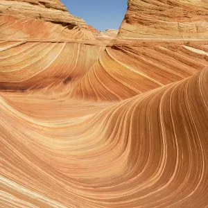 The Wave Navajo Sandstone Print, Arizona Landscape The Wave Navajo Sandstone Print, Arizona Landscape