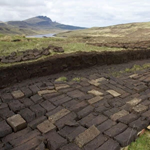 Peat cutting with blocks drying Isle of Skye, Scotland