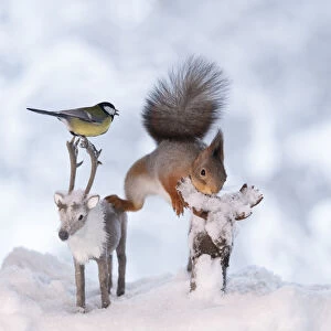 Red squirrel and titmouse standing on a moose and reindeer