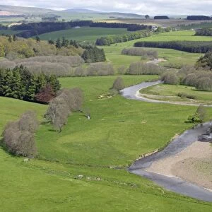 River Coquet - Beside Holystone, with Cheviot hills in background Northumberland, England
