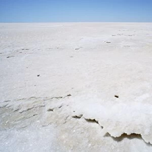 Salt surface of Lake Eyre North Lake Eyre National Park, South Australia JLR04320