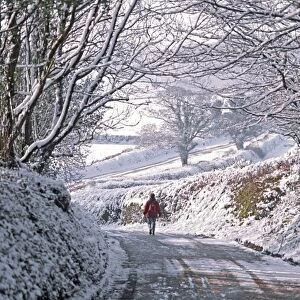 Solitary female pedestrian walks through snow covered English winter landscape along country lane bordered by tall hedges and overhanging trees toward more open sunlit countryside. Devon, UK