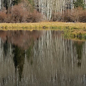 USA, Utah. Reflections on Warner Lake, Manti-La Sal National Forest. Date: 01-11-2020