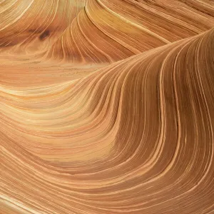 USA - The Wave, a breathtaking work of art, naturally carved in beautiful red and yellow striated soft Navajo sandstone. North Coyote Buttes, Paria Canyon-Vermilion Cliffs Wilderness, Vermilion Cliffs National Monument, Arizona, USA